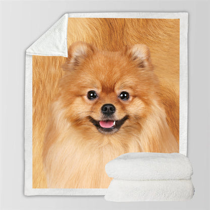 Pomeranian - Blanket V3