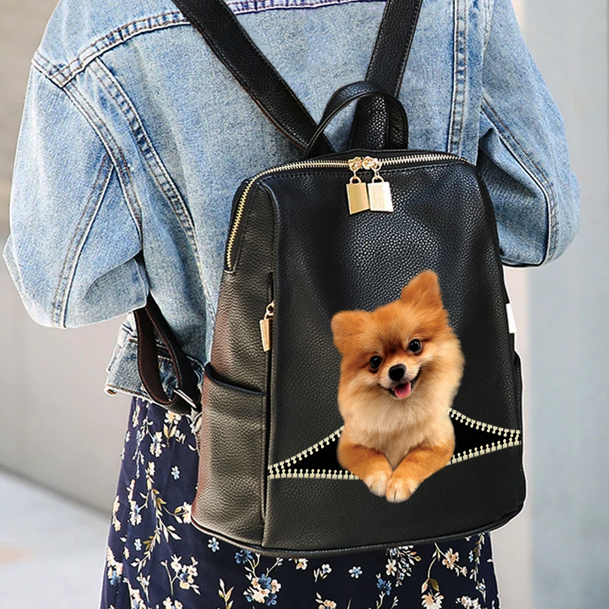 Pomeranian Backpack V2