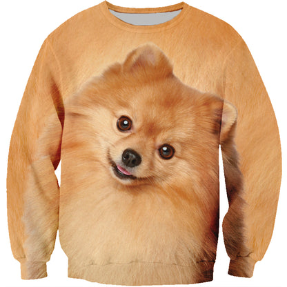 Pomeranian Sweatshirt V1