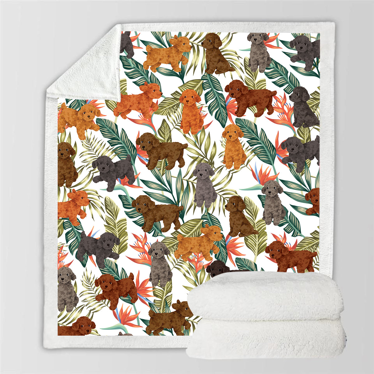 Caniche - Couverture colorée V1