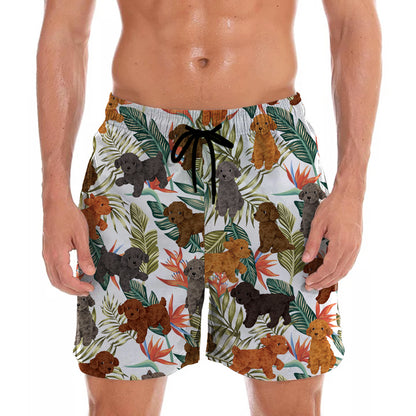 Caniche - Short Hawaïen V3