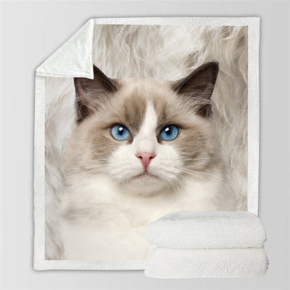 Ragdoll-Katze - Decke V1