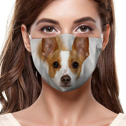 Masque F Rat Terrier V1