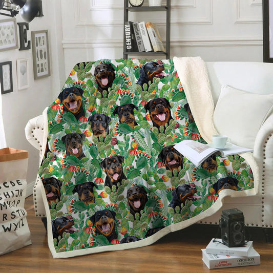 Rottweiler - Colorful Blanket V1