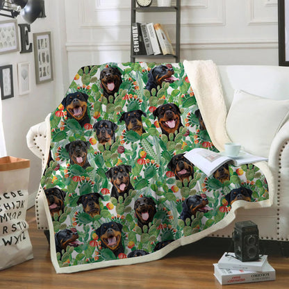 Rottweiler - Colorful Blanket V1