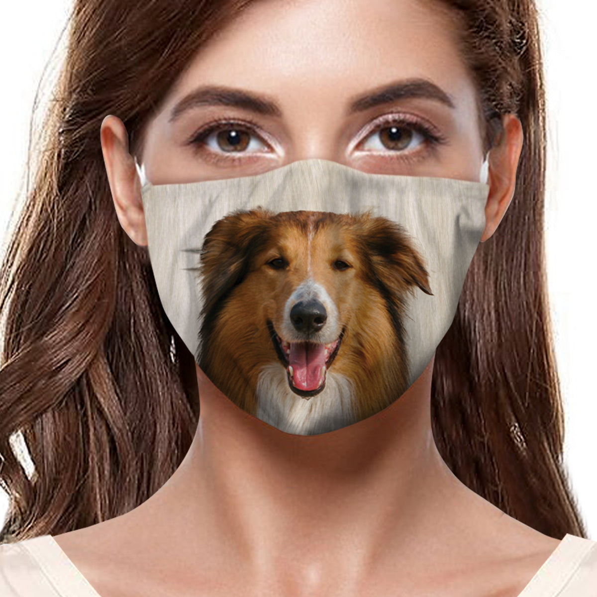 Rough Collie F-Maske V1