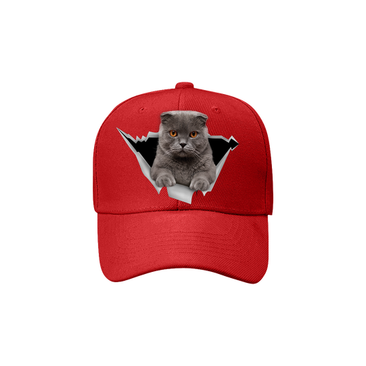 Scottish Fold Cat Fan Club - Hat V2
