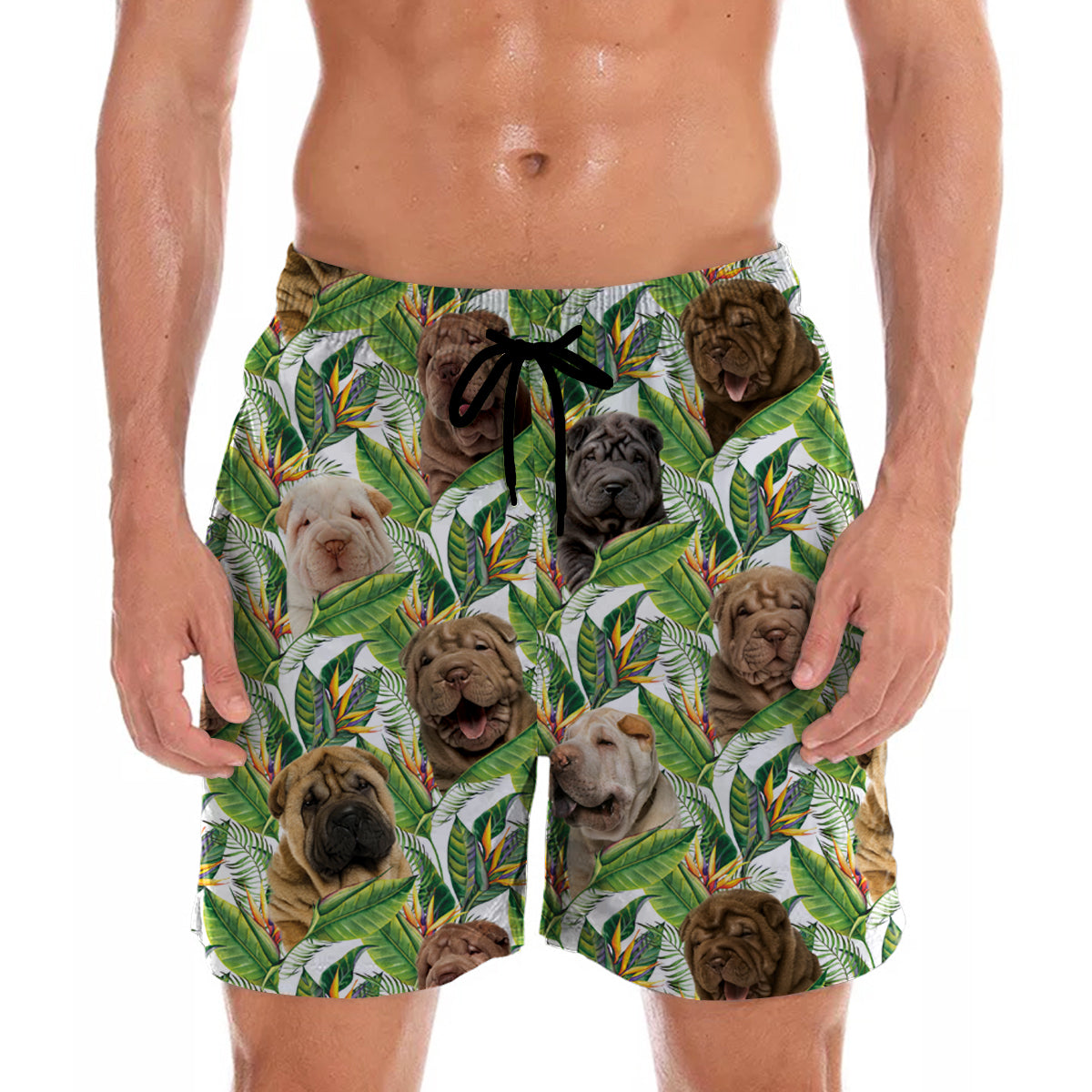 Shar Pei - Hawaii-Shorts V2