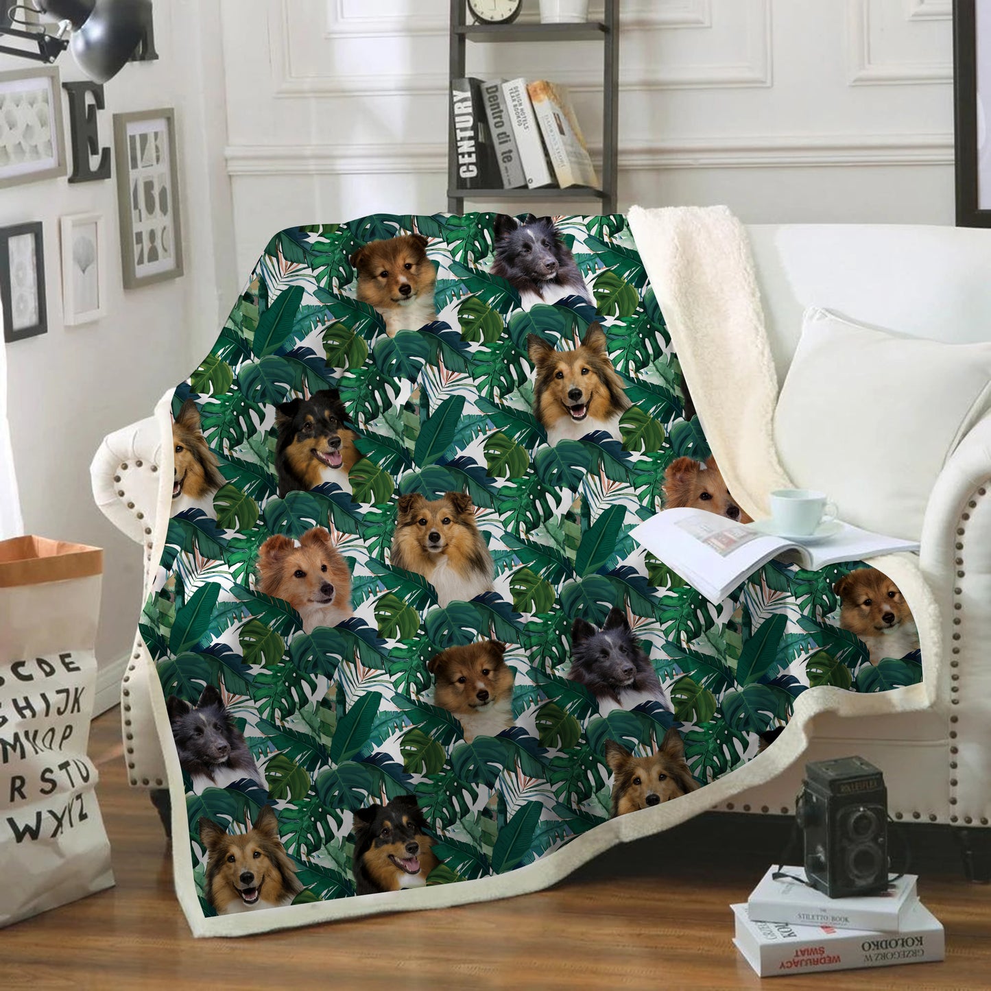 Berger Shetland - Couverture colorée V1