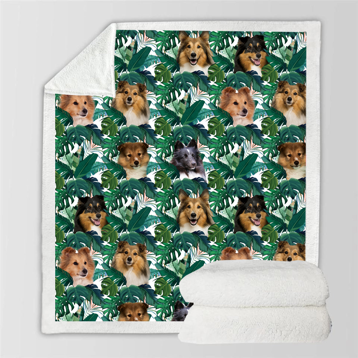 Shetland Sheepdog - Colorful Blanket V1