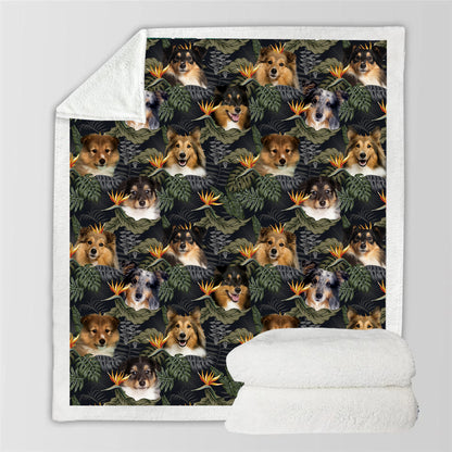 Shetland Sheepdog - Bunte Decke V2