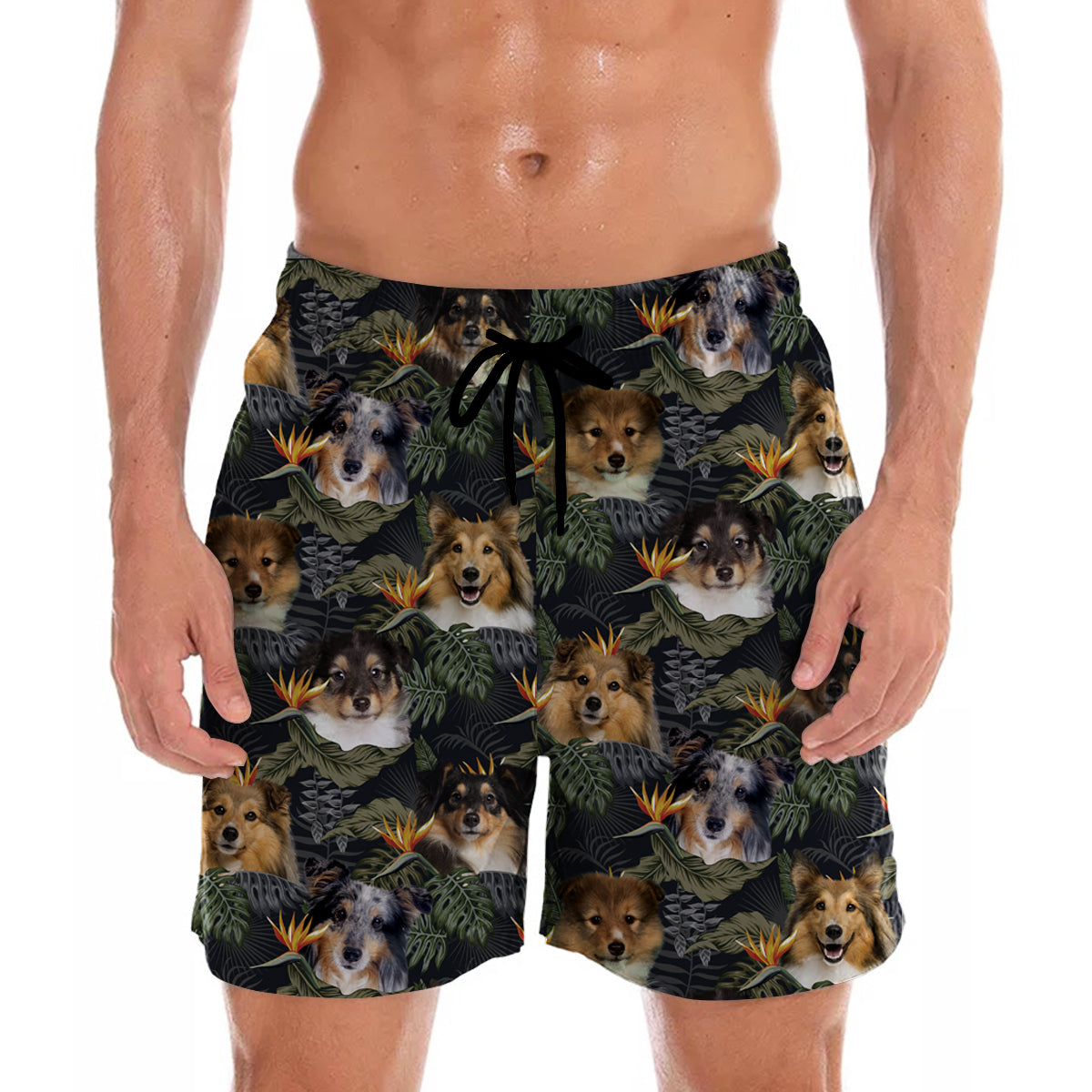 Shetland Sheepdog - Hawaiian Shorts V1