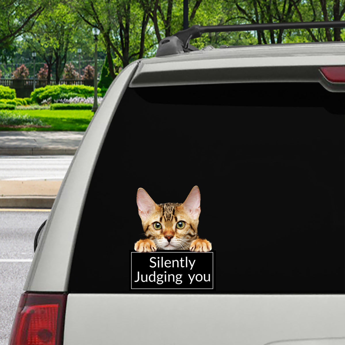 Silently Judging You – Aufkleber für Auto/Tür/Kühlschrank/Laptop mit Bengalkatze V1