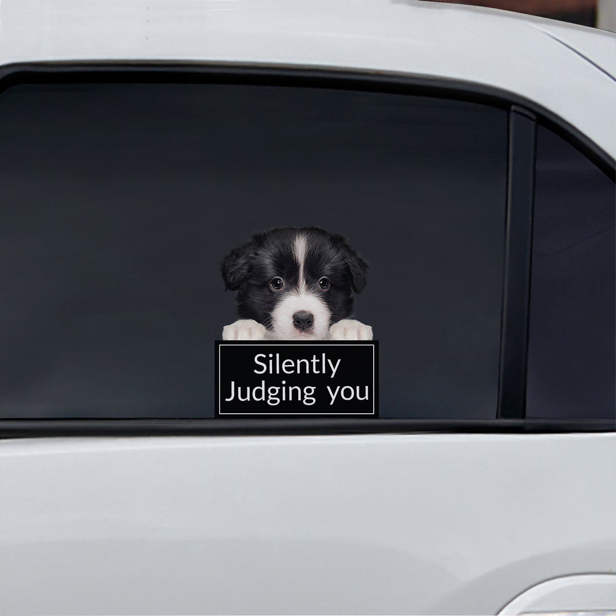 Vous juger silencieusement - Border Collie Autocollant de voiture/porte/réfrigérateur/ordinateur portable V1