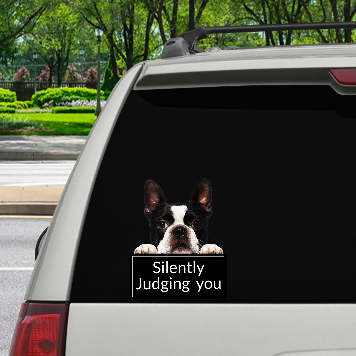 Silently Judging You - Boston Terrier Car/ Door/ Fridge/ Laptop Sticker V1