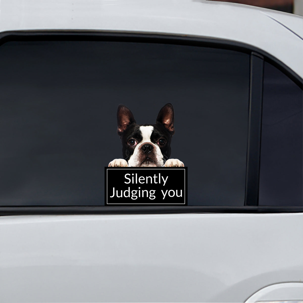 Silently Judging You - Boston Terrier Car/ Door/ Fridge/ Laptop Sticker V1