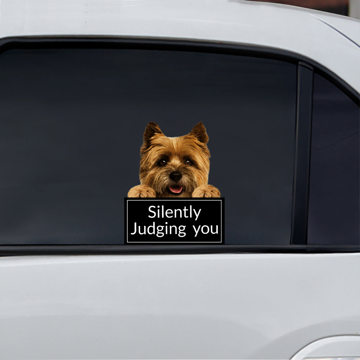 Silently Judging You - Cairn Terrier Car/ Door/ Fridge/ Laptop Sticker V1