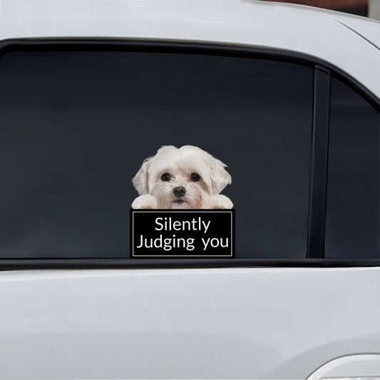 Silently Judging You - Coton De Tulear Car/ Door/ Fridge/ Laptop Sticker V1