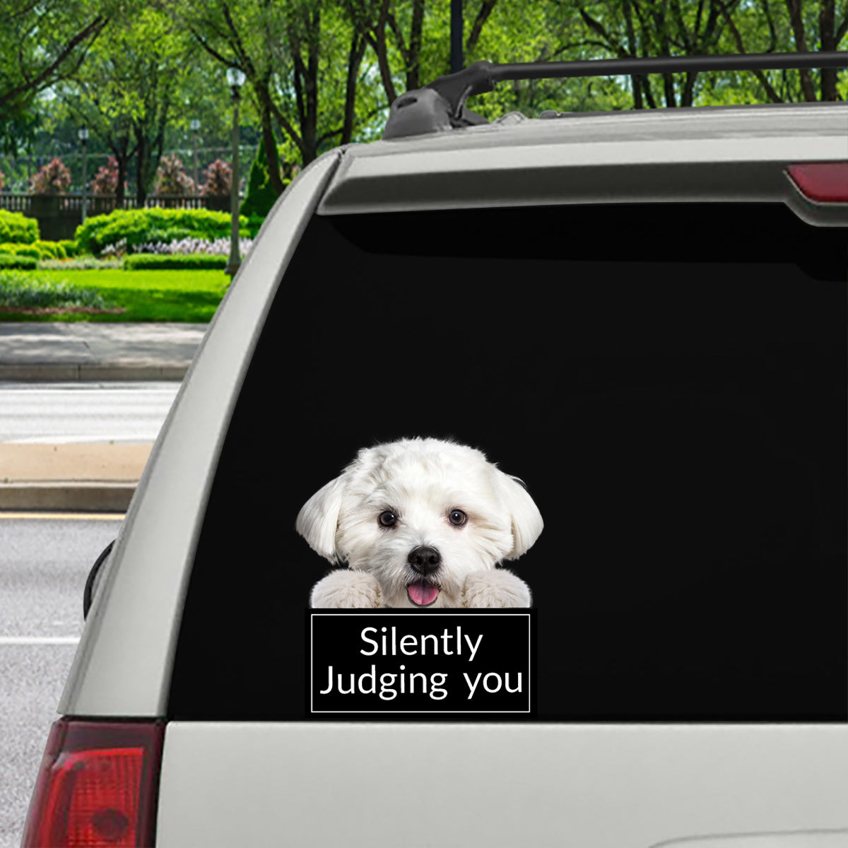 Silently Judging You - Maltese Car/ Door/ Fridge/ Laptop Sticker V1
