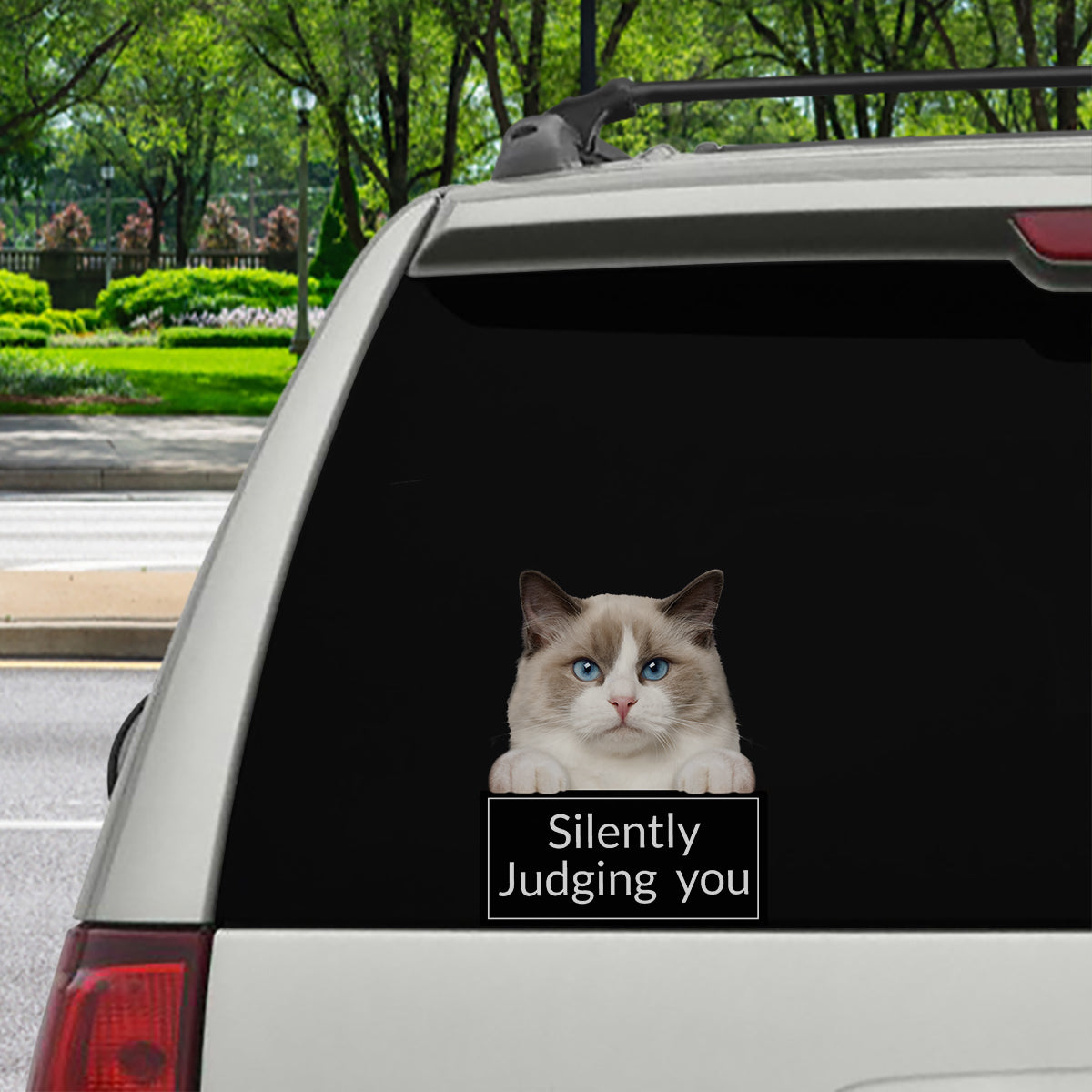 Silently Judging You – Aufkleber für Auto/Tür/Kühlschrank/Laptop von Ragdoll Cat V1