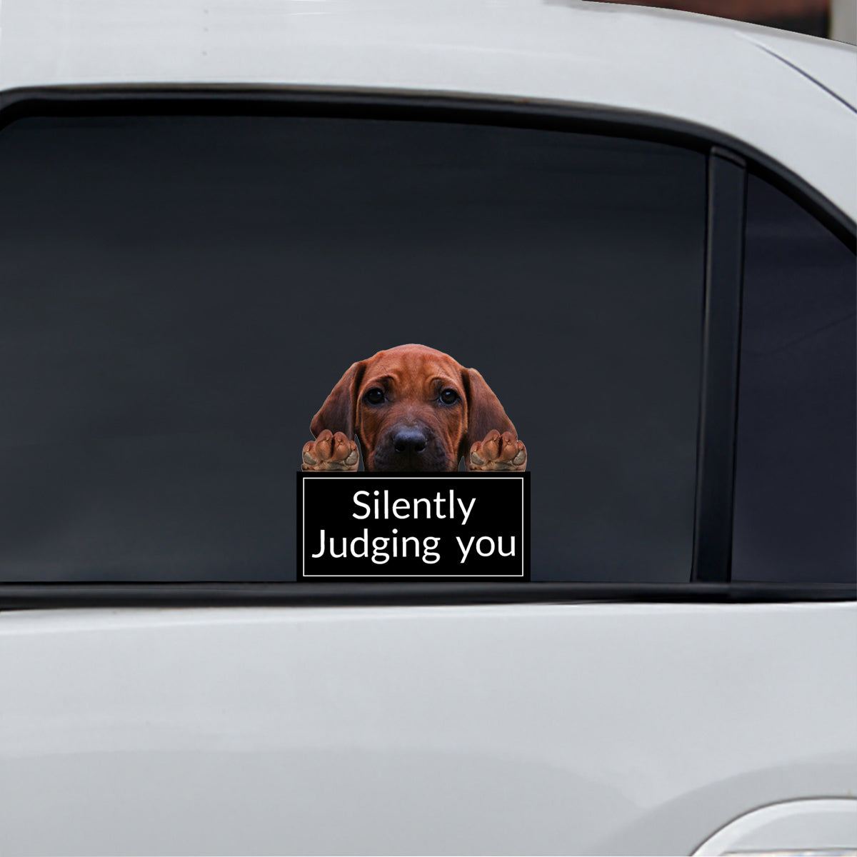 Silently Judging You - Rhodesian Ridgeback Car/ Door/ Fridge/ Laptop Sticker V1