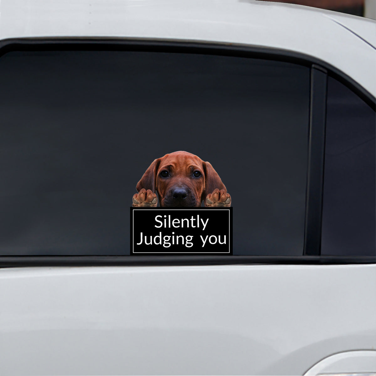 Silently Judging You – Rhodesian Ridgeback Auto-/Tür-/Kühlschrank-/Laptop-Aufkleber V1