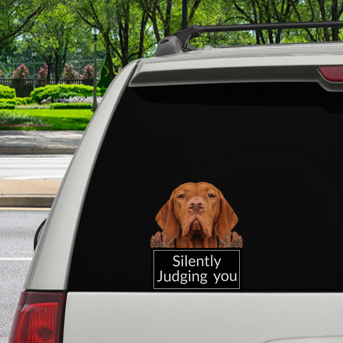 Silently Judging You – Vizsla Auto-/Tür-/Kühlschrank-/Laptop-Aufkleber V1