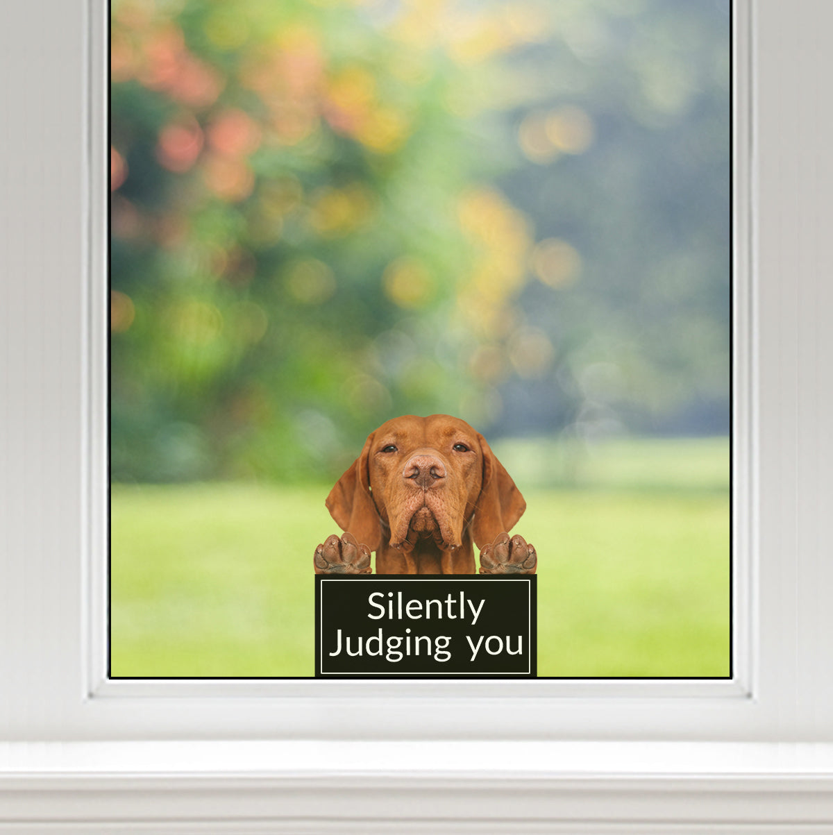 Silently Judging You – Vizsla Auto-/Tür-/Kühlschrank-/Laptop-Aufkleber V1