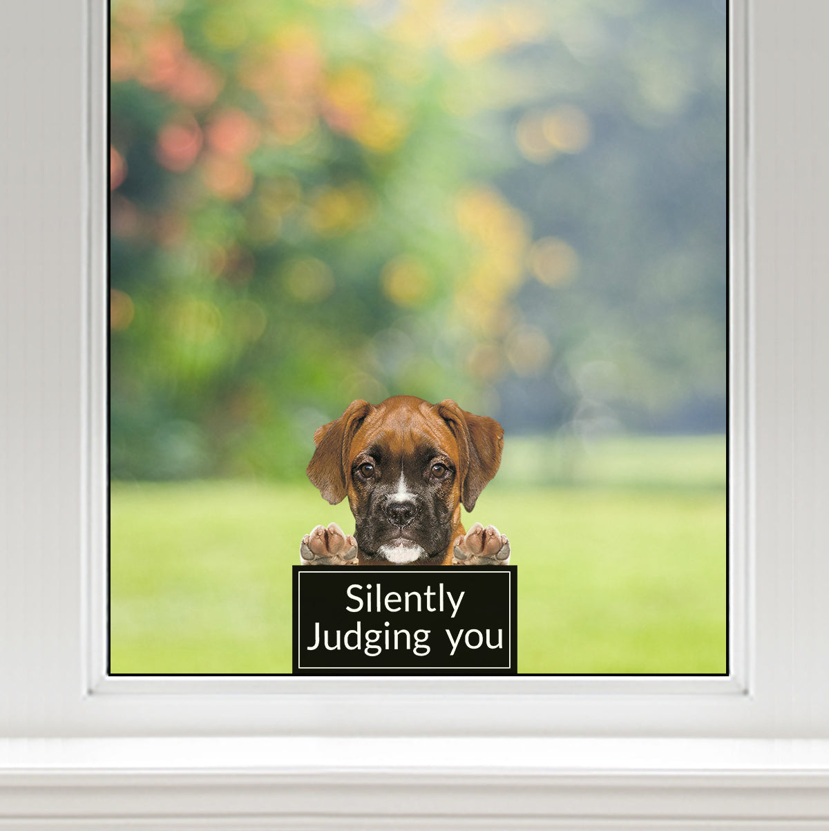 Silently Judging You - Boxer Car/ Door/ Fridge/ Laptop Sticker V1