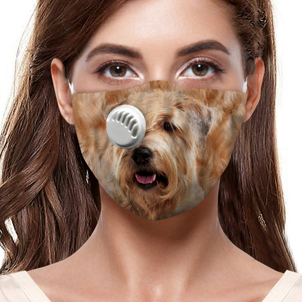 Soft Coated Wheaten Terrier F-Maske V1