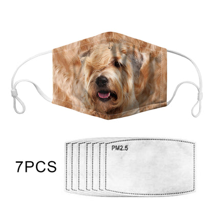 Soft Coated Wheaten Terrier F-Mask V1