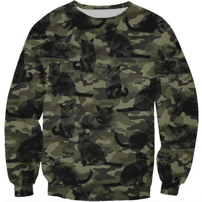 Street Style avec sweat-shirt camouflage chat British Shorthair V1