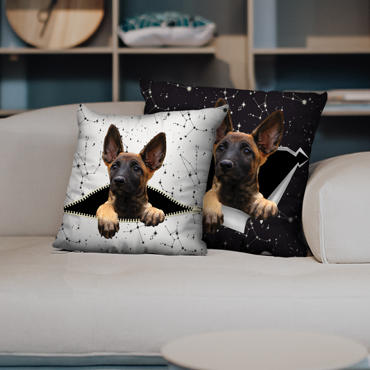 They Steal Your Couch - Belgian Malinois Pillow Cases V1 (Set of 2)