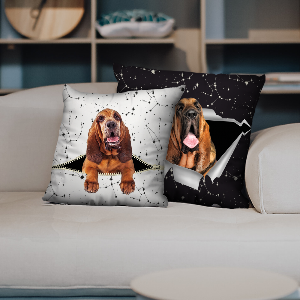 Sie stehlen Ihre Couch – Bloodhound-Kissenbezüge V1 (2er-Set)