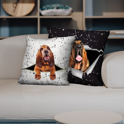 They Steal Your Couch - Bloodhound Pillow Cases V1 (Set of 2)
