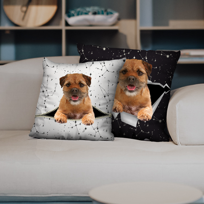 They Steal Your Couch - Border Terrier Pillow Cases V1 (Set of 2)