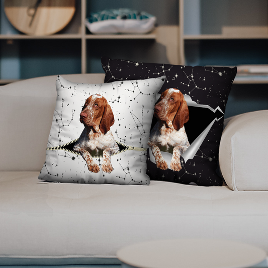 They Steal Your Couch - Bracco Italiano Pillow Cases V1 (Set of 2)