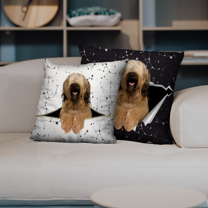 Ils volent votre canapé - Taies d'oreiller Briard V1 (Ensemble de 2)