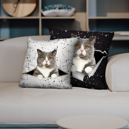 They Steal Your Couch - British Shorthair Cat Pillow Cases V3 (Set of 2)