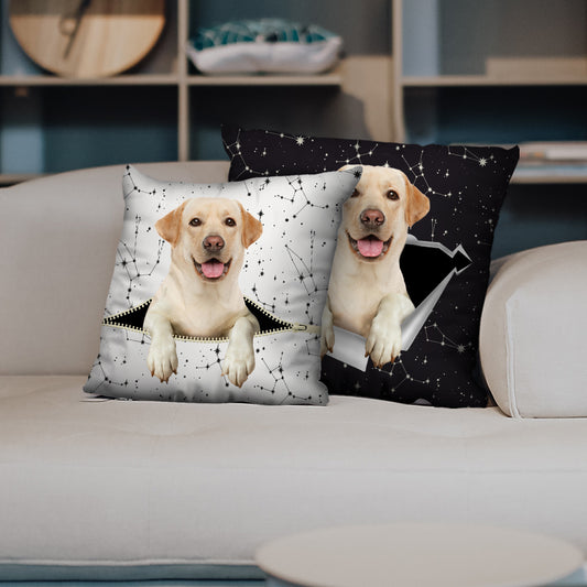 Sie stehlen Ihre Couch – Labrador-Kissenbezüge V4 (2er-Set)