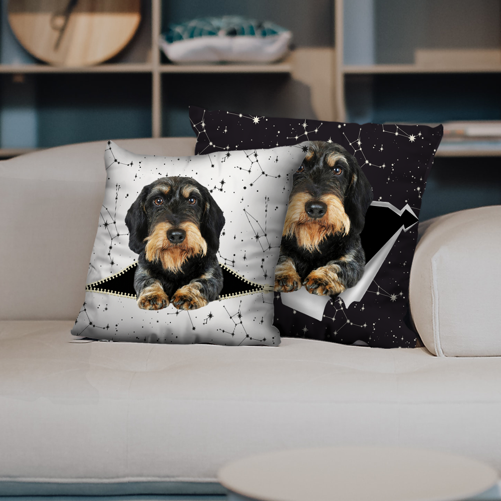 They Steal Your Couch - Wire Haired Dachshund Pillow Cases V2 (Set of 2)