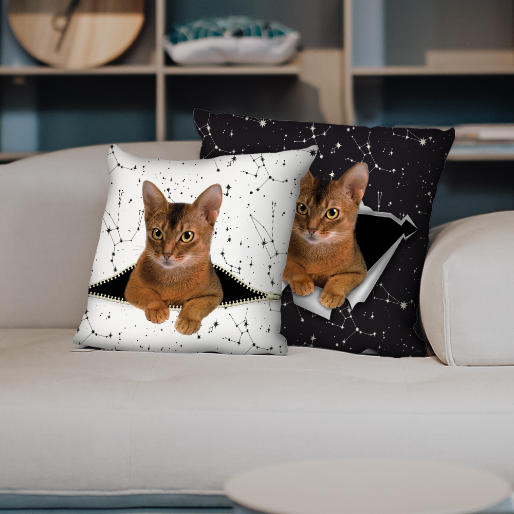 They Steal Your Couch - Abyssinian Cat Pillow Cases V1 (Set of 2)