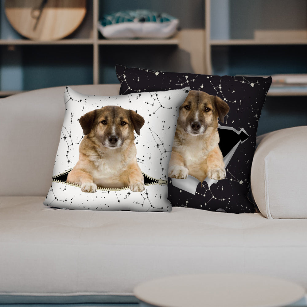 They Steal Your Couch - Aidi Pillow Cases V1 (Set of 2)