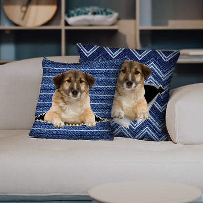 They Steal Your Couch - Aidi Pillow Cases V1 (Set of 2)