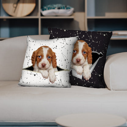 They Steal Your Couch - Brittany Spaniel Pillow Cases V1 (Set of 2)