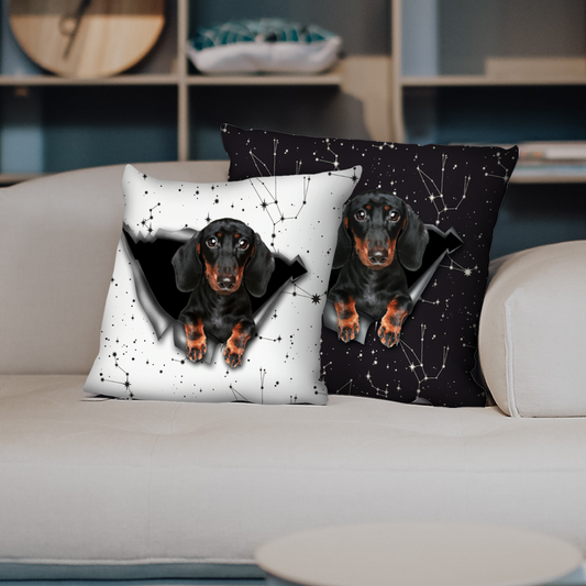 They Steal Your Couch - Dachshund Pillow Cases V2 (Set of 2)