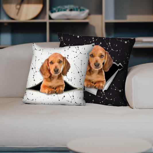 They Steal Your Couch - Dachshund Pillow Cases V4 (Set of 2)