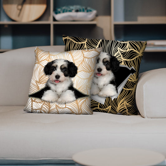 They Steal Your Couch - Havanese Pillow Cases V1 (Set of 2)