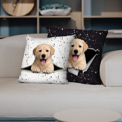They Steal Your Couch - Labrador Pillow Cases V2 (Set of 2)