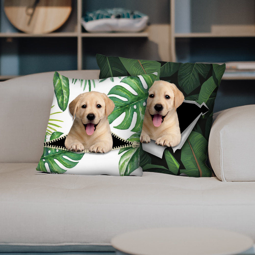 Sie stehlen Ihre Couch – Labrador-Kissenbezüge V2 (2er-Set)